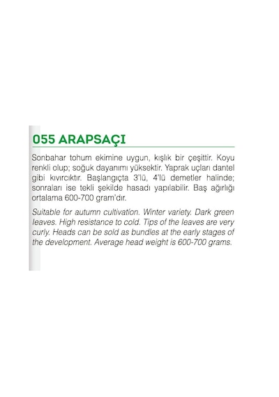 AGRodal Tarım Ata Tohumu Yerli Doğal Marul Arapsaçı 1000 Tohum