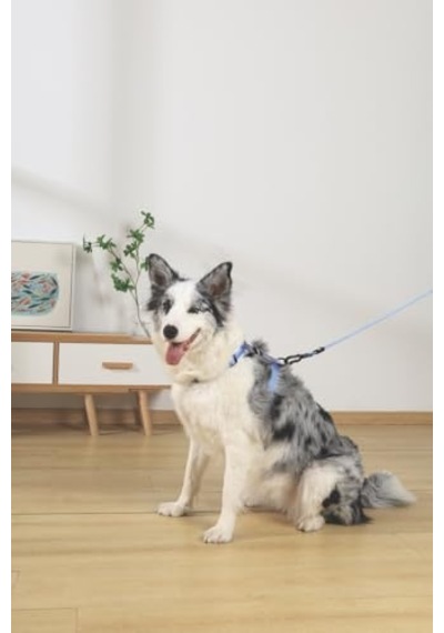 M-pets Gentle Dog Gezdirme Kayışı S Blue