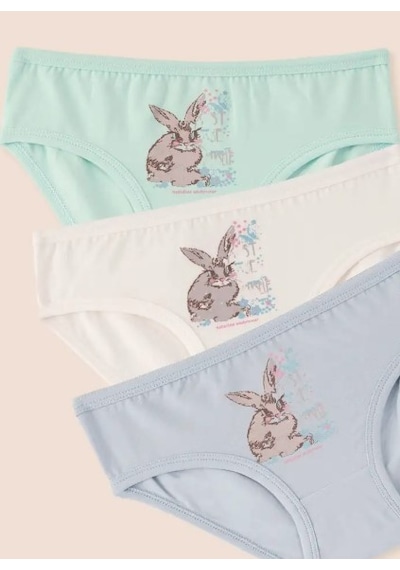 Natuline Organik Külot 3lü Likralı Just Be Rabbit Yourself Rabbit Açık Mavi - Yeşil - Ekru Çok Renkli Natuline Organik Külot 3lü Likralı Just Be Rabbit Yourself Rabbit Açık Mavi - Yeşil - Ekru Çok Renkli