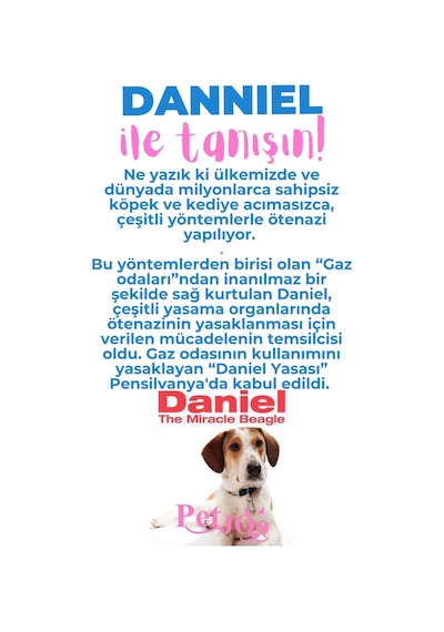 Petjoo 21.Danniel Pembe-Mavi Qr'lı Köpek Künyesi