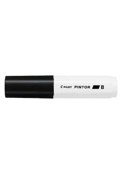 Pilot Pintor B, Siyah Genel