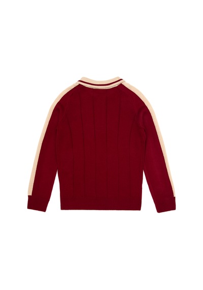U.S. Polo Assn. Erkek Çocuk Plum Kazak /triko 50315629-vr177 New Plum