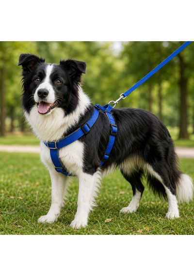 Gezdirme Kayışlı Dokuma Köpek Göğüs Tasma Seti 40 60-110 Cm Mavi Çok Renkli