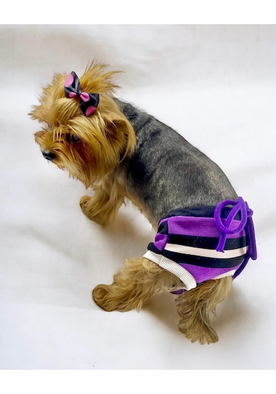Kemique Modern Purp Kemique's Secret Köpek İç Çamaşırı Regl Külot
