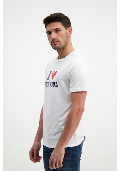 Rich Erkek Bisiklet Yaka Baskılı T-Shirt %100 Pamuk Tişört (481343959)
