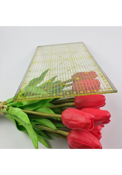Plastik Şeffaf Terzi Modelist Okul Patcwork Kesim Cetvel 30X15 CM