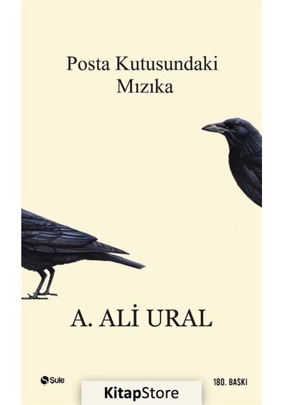 Posta Kutusundaki Mızıka / A. Ali Ural