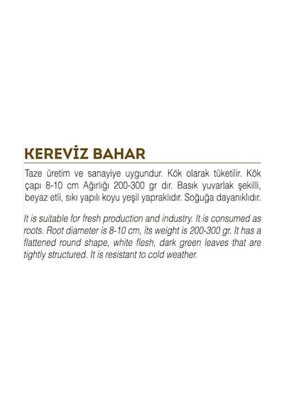 Ata Tohumu Yerli Doğal Kereviz Tohumu 2000 Ad Tohum