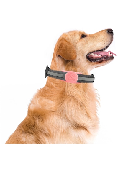 Buff Tagsafe Dogcol Taşınabilir Anahtarlık Apple Uyumlu AirTag Kılıf Pink