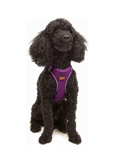 Tailpetz Air-mesh Göğüs Tasması 3xs Mor, Xs Sku: Zeusb07q2hry42 Açık Bej - Bej