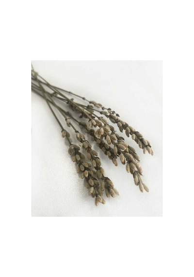 Hardal Doğal Lavanta Şoklanmış Çiçek Natural Demet 100 Gr