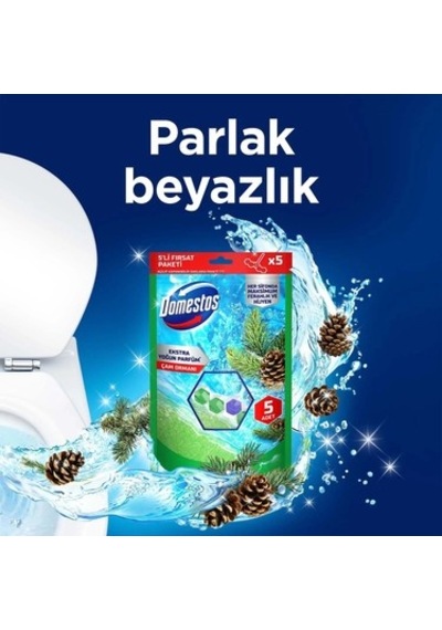 Çam Ormanı Aromalı 5'li Tuvalet Bloğu Ürünü