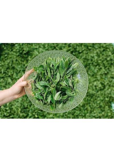 3'lü Set Oolong 3 37,5