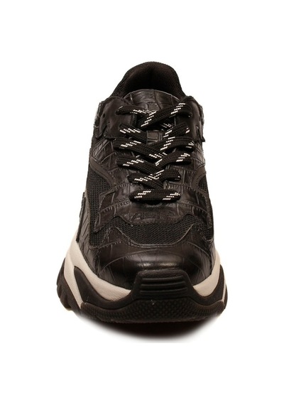 Ash Bayan Sneaker Addict Siyah