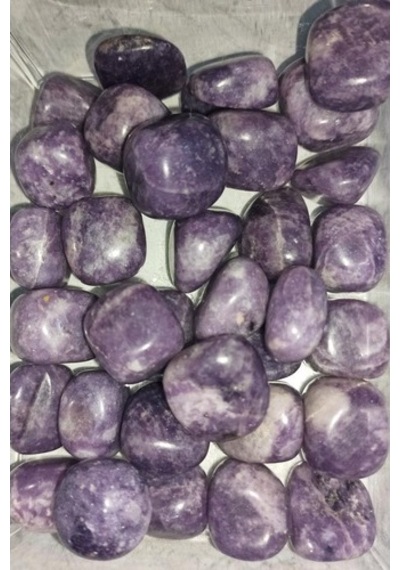 50 Gram Lepidolit Tamburlu Parçalar 672