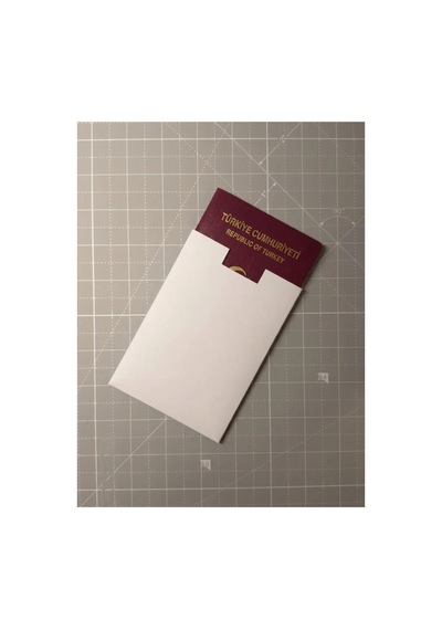 Minimalist Pasaport Kılıfı İnce Ve Sert Koruyucu Kılıf