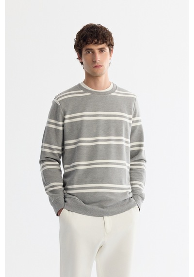 Avva Erkek Gri Bisiklet Yaka Çizgili Elastan Regular Fit Sweatshirt A42y1292