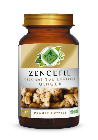 Gökçek Şifa Zencefil Toz Eki 70 G