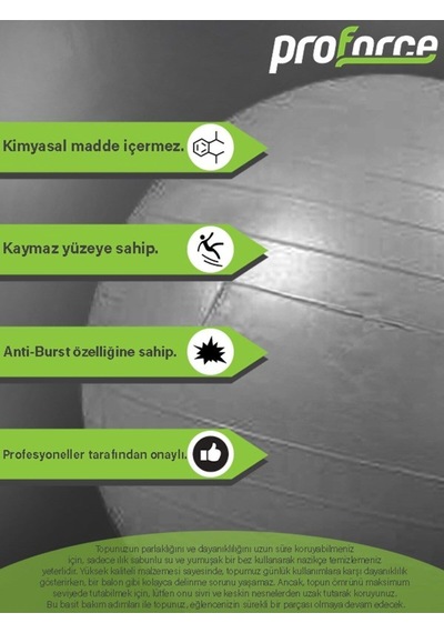 Pilates Topu 65 Cm 1100 Gr