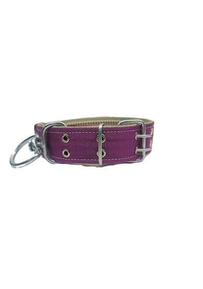 İri Ve Büyük Cinsler İçin Kanğal Köpek Tasması 80x5 Cm Mor