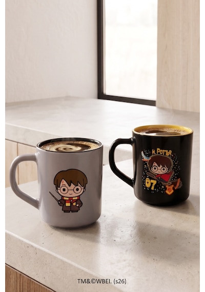 Harry Potter 2'li Kupa Seti 250 Cc Çok Renkli