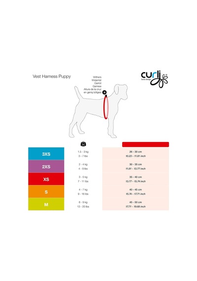 Vest Göğüs Tasması Air-mesh Pembe-puantiye 3xs & Gezdirme Tasması M Çok Renkli