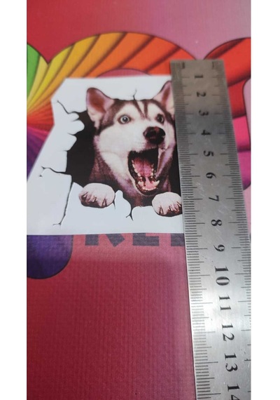 3d Desenli Husky Köpek Figürlü Sticker Etiketi