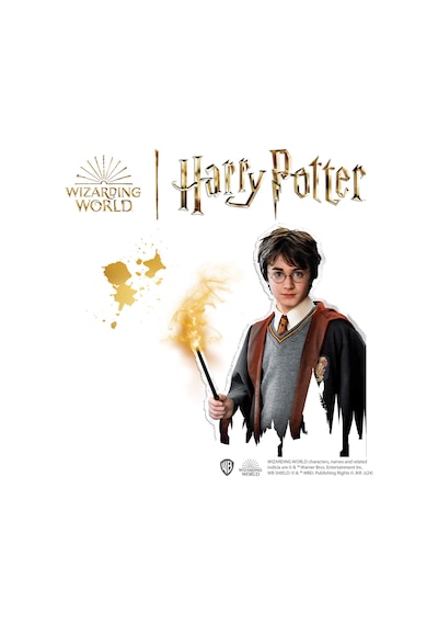 Ses Creative Harry Potter - Kalıba Dök Ve Boya