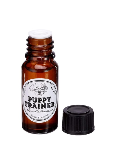 Çiş Eğitim Sıvısı, 10ml