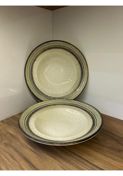 2'li Cortado Spiral Gourmet Deep Plate 27 Cm 450 Cc Salata/bowl/sulu Yemek/makarna Çok renkli