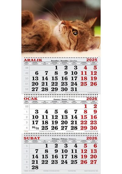 2026 Yılı Gemici Takvimi- Kedi