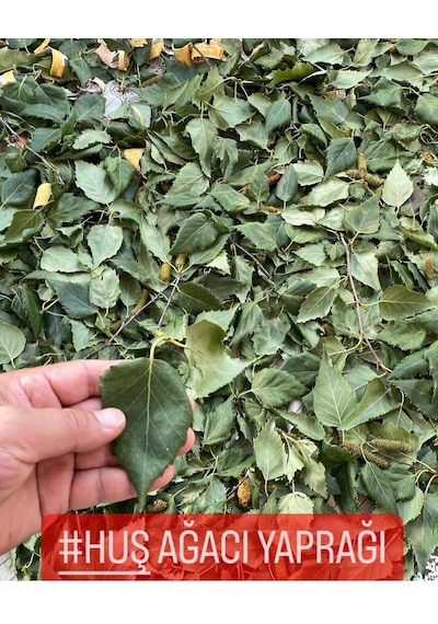 Aktar Marka Huş Ağacı Yaprağı 50 G