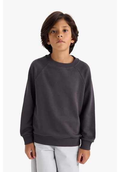 Defacto Erkek Çocuk Regular Fit Bisiklet Yaka Sweatshirt E8415a825auar138 Antrasit