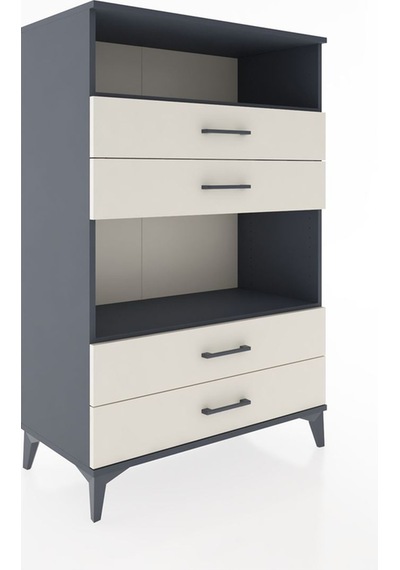 Hyperion Dolap 2 Raflı 4 Çekmeceli 88x44x134 Antrasit-aytaşı Antrasit