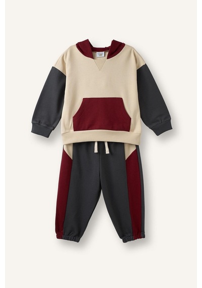 Defacto %100 Pamuk Etiket Baskılı İnce Sweatshirt Kumaşı 2li Takım Erkek Bebek F9452a526wnar202 Antrasit-ar202