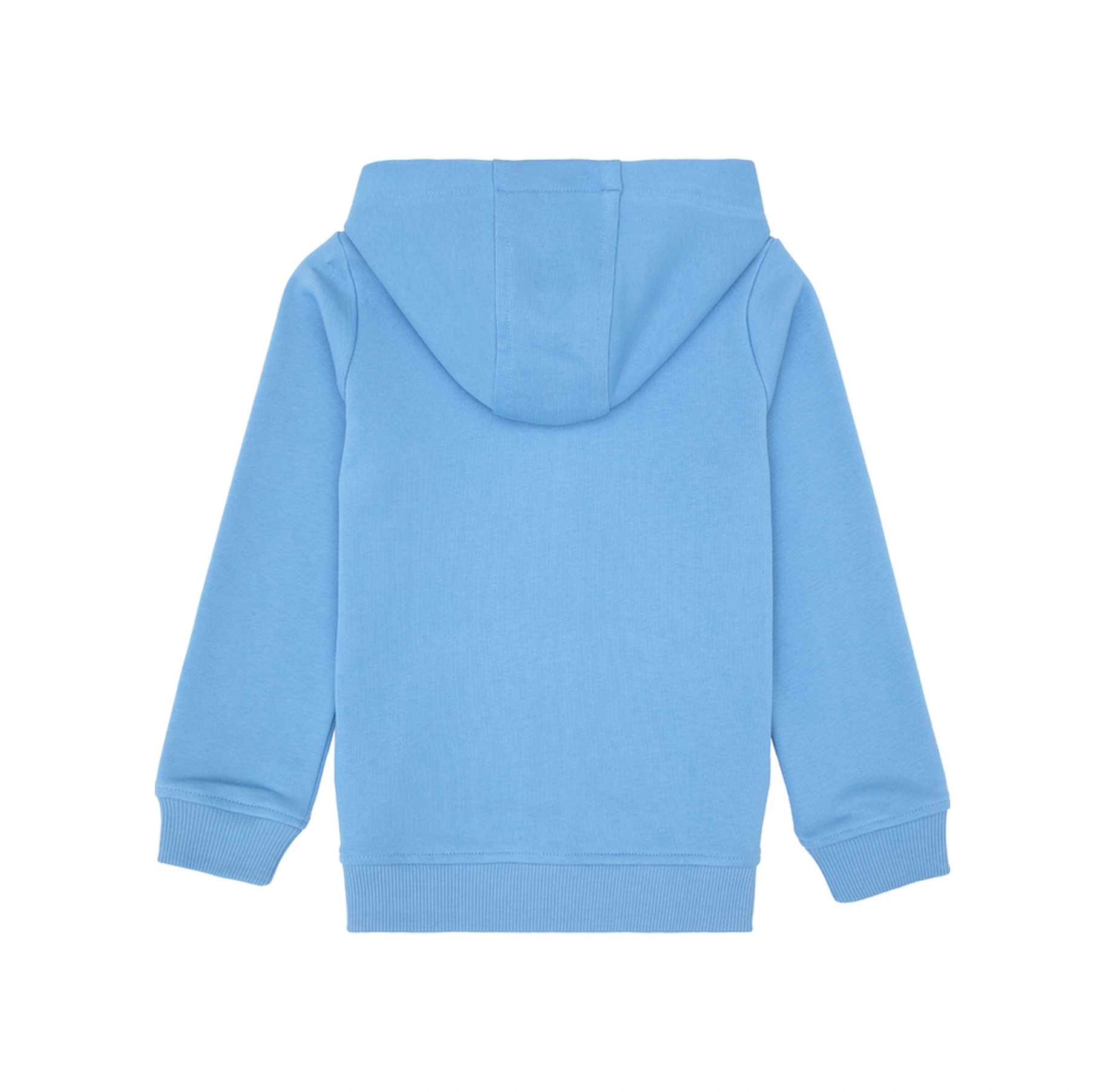 U.S. Polo Assn. Erkek Çocuk Açık Mavi Fermuarlı Kapüşonlu Sweatshirt 50316706-VR003