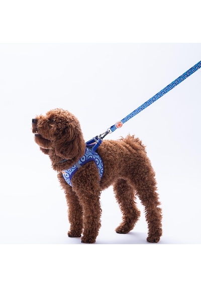 Charm Leash Nazar Boncuğu Desenli Kedi Köpek Sevk & Gezdirme Kayışı Köpek Uzatma Tasması Mavi