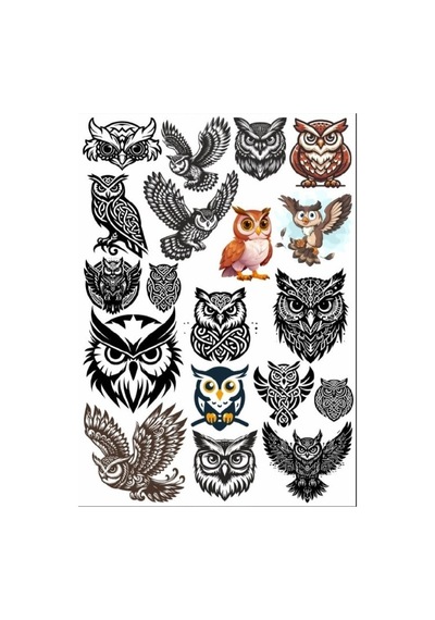 Baykuş Sticker Set