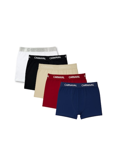 Carnaval Socks Carnaval Classic Colors Erkek Boxer 5 Li Set Çoklu