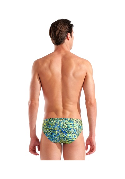 Arena Snakeskin Briefs Erkek Yeşil Yüzücü Mayosu 010162506