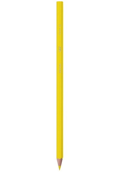 Bic Tropicolors Kuru Boya Kalemi 12 Renk Uzun Tam Boy