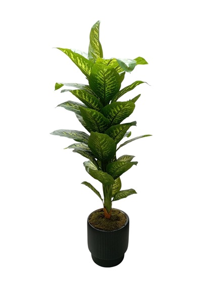 Royal Prestige Difenbahya Ağacı 190 Cm Lüks Salon Ve Ofis Yapay Ağaç Siyah
