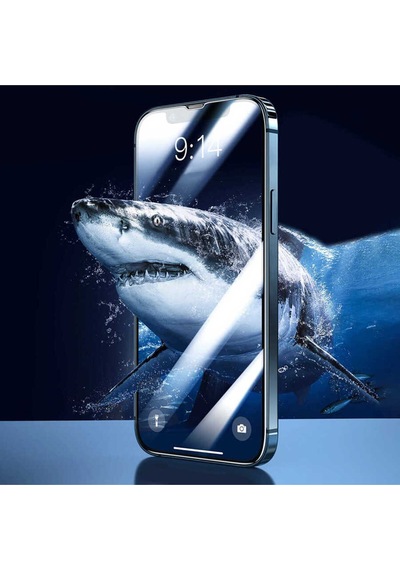 Apple iPhone Uyumlu  17e Davin Seramik Ekran Koruyucu - Siyah