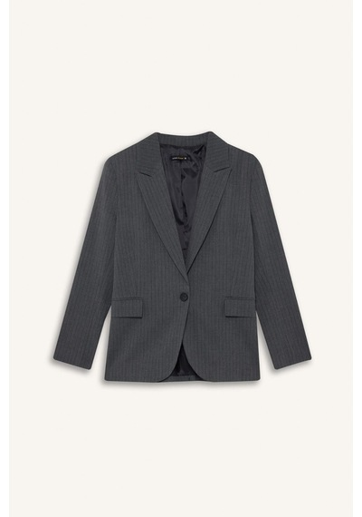 Defacto Regular Fit Düğmeli Blazer Ceket F9465ax25augr93 Gri