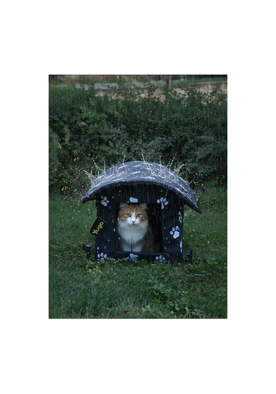 Pati Desenli Siyah Kedi Evi Isı Ve Yağmur Korumalı