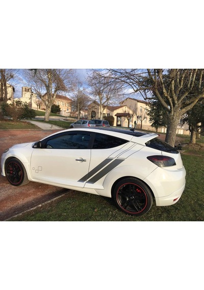 Renault Megane Trophy Desenli Yan Kapı Sticker Etiket Modeli