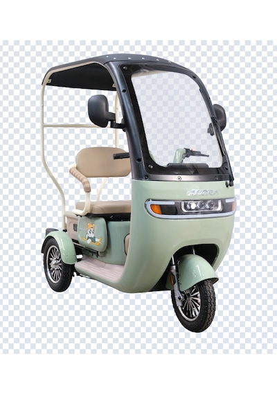 Arora Rüzgar Pro 650 W 60 V 20 AH 3 Tekerlekli Elektrikli Motosiklet Yeşil