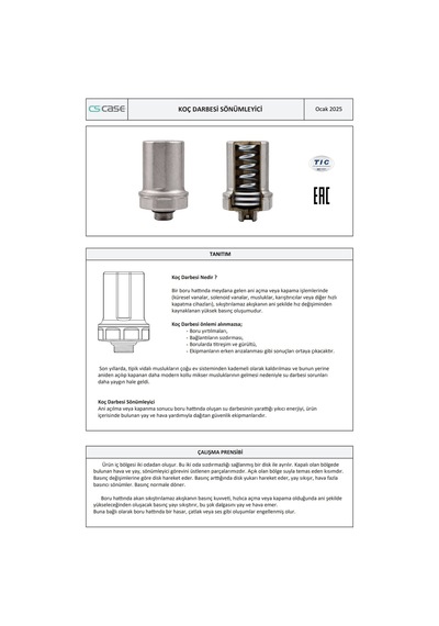 Case Koç Darbesi Sönümleyicisi 4215 - 1/2''