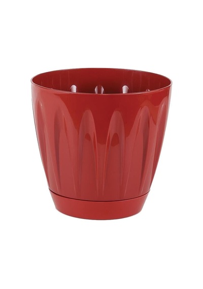 Serinova Papatya Tabaklı Saksı 0.7 Lt 84110122