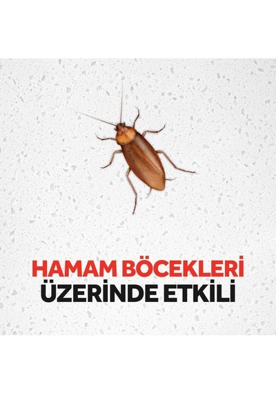Raid Hamam Böceği Yemi 6’lı Her Tablet ile 3 Ay Koruma